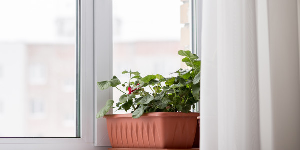 Fabricantes / Instaladores de Puertas y Ventanas de Aluminio / PVC Bràfim · Doble Acristalamiento